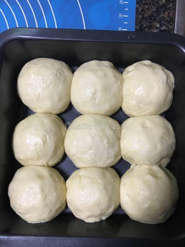 压扁包入馅料，收口滚圆，放进盆里进行二次发酵，剩下的一个面团搓18个小球（小一点精致一点，我的太大），滚圆当小熊耳朵