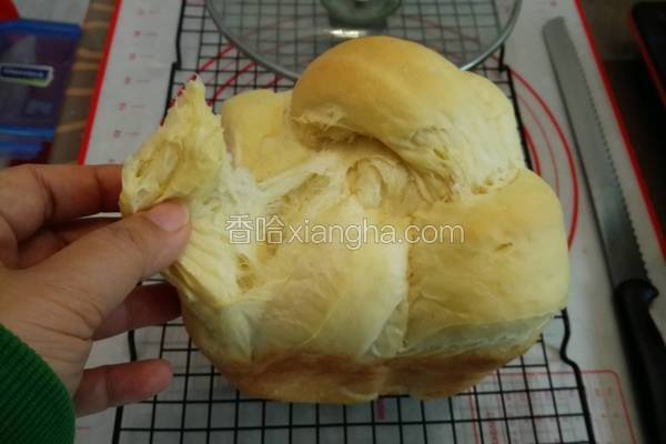 (冷藏汤种)面包机北海道土司手撕包(全步骤)