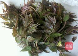 香椿炒蛋的做法图解1