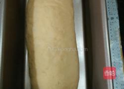 三色吐司的做法图解9