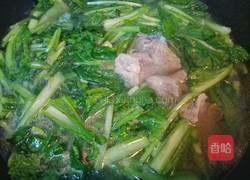 小白菜汤的做法图解4