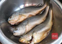 红烧黄花鱼的做法图解1