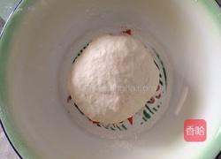 中种法面包的做法图解1