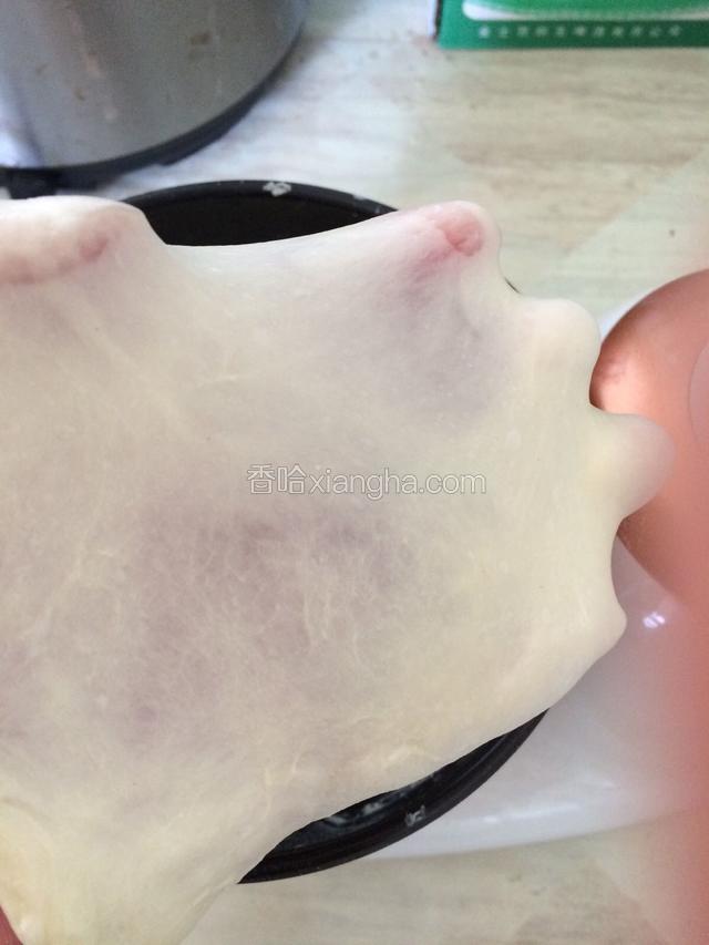 揉到出手套膜，面团粘还是手要沾下色拉油试下出膜没