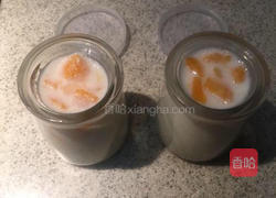 牛奶芒果冻的做法图解5