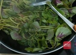 蒜末苋菜的做法图解3