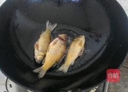 小鲫鱼汤的做法图解4