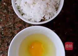 Colorful Fried Rice Recipe Illustration 3