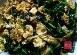 枸杞头炒鸡蛋的做法图解4