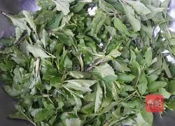 枸杞头炒鸡蛋的做法图解1