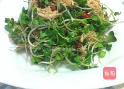 鸡丝萝卜苗的做法图解5