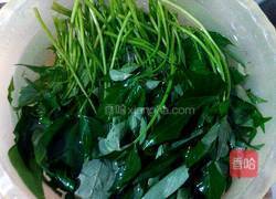 蒜蓉炒番薯叶的做法图解1
