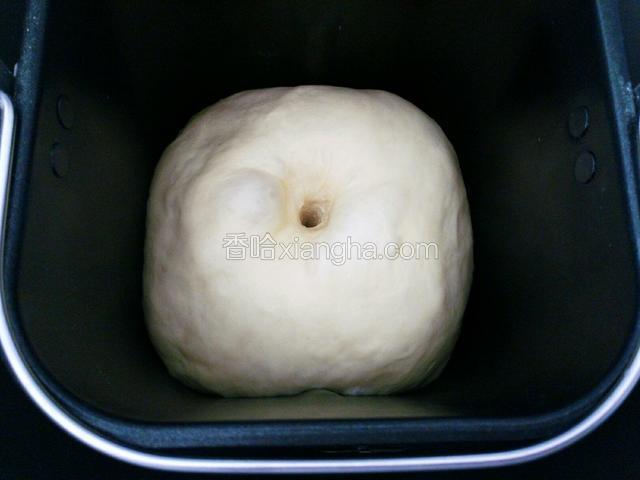 发酵至原来的2.5倍大，用手指沾水探入不回缩即完成发酵。