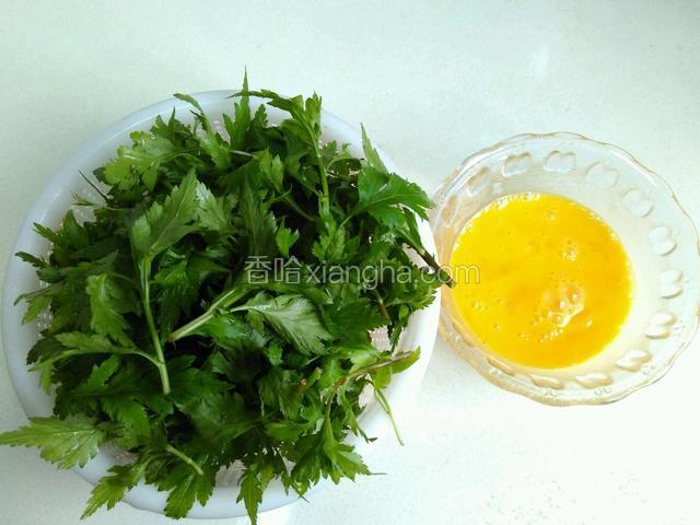 菊花叶洗净，鸡蛋去壳打散