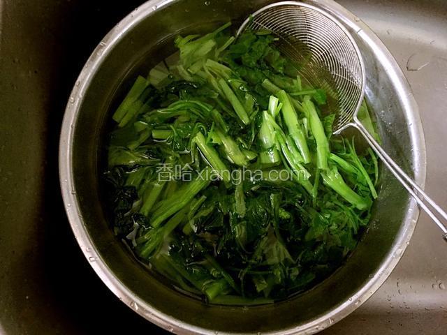 菠菜摘掉黄叶，洗净切段。锅内烧水，将菠菜放入，焯水，捞出浸在凉水中。