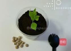 酸奶盆栽木糠杯的做法图解8