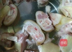 养生滋补猪脚汤的做法图解1