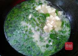 荠菜豆腐汤的做法图解9