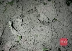 紫色糯米饭的做法图解3