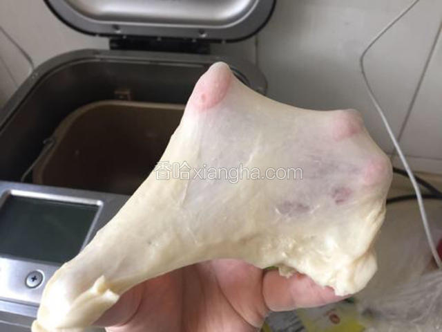 加入黄油和酵母搅拌至扩展阶段。