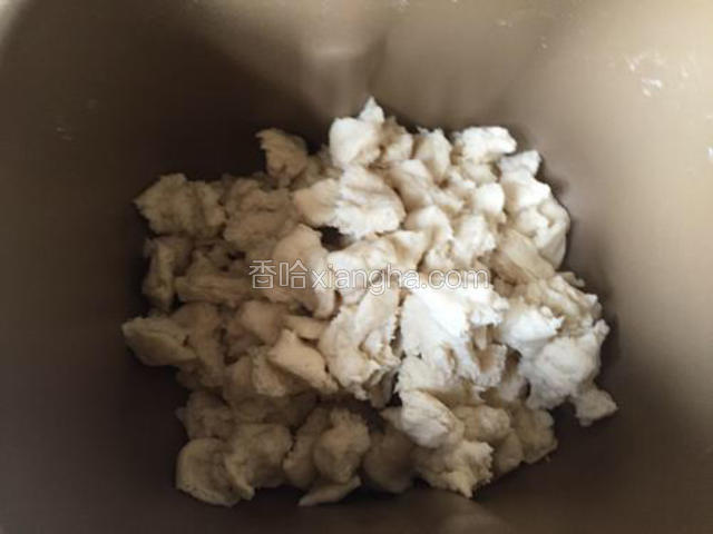 手撕小块放入面包机。