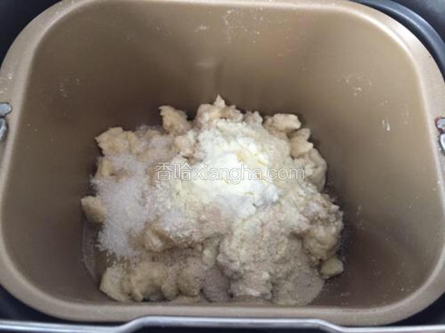 除黄油外和中种面团块混合。