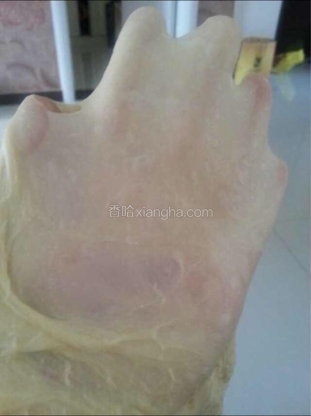 揉成手套膜，延时发酵10分钟。