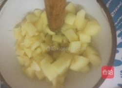 苹果果酱的做法图解5