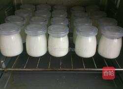 自制酸奶(烤箱版)的做法图解5