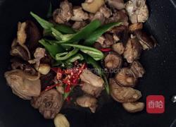 香菇炆鸡的做法图解6