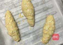 玫瑰火腿肠面包的做法图解12