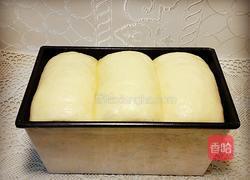 奶香土司的做法图解6