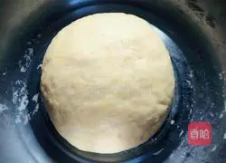 Assorted pizza recipe illustration 3