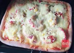 Assorted Pizza Recipe Illustration 16