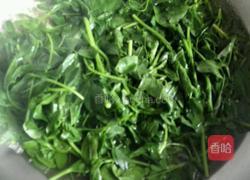 蒜香苜蓿的做法图解1