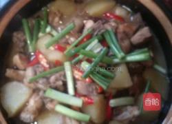 土豆焖鸡的做法图解6