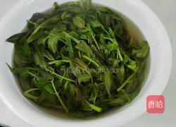 清炖香椿狮子头的做法图解1