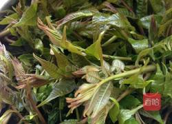 香椿炒蛋的做法图解1