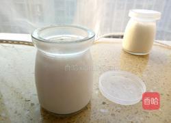 牛奶冻的做法图解6