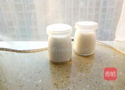 牛奶冻的做法图解7