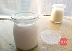 牛奶冻的做法图解8