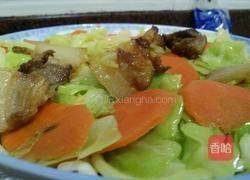 胡萝卜包菜炒肉的做法图解8