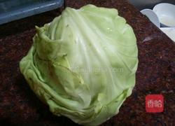 胡萝卜包菜炒肉的做法图解2