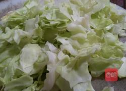 胡萝卜包菜炒肉的做法图解3