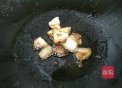 胡萝卜包菜炒肉的做法图解5