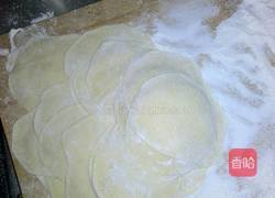 灰灰菜饺子的做法图解6