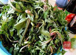 蒜茸拌蒲公英的做法图解3