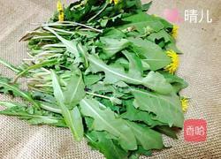 蒜茸拌蒲公英的做法图解1