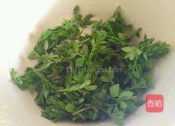 炸花椒芽儿的做法图解1