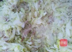 本帮春卷的做法图解8